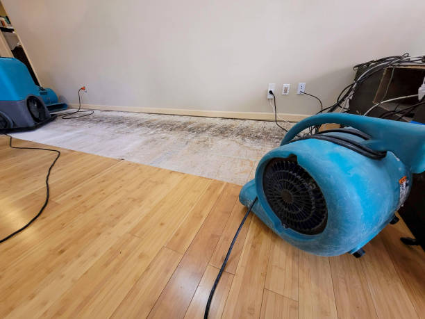 Professional Structural Drying technician working in Ranburne, AL